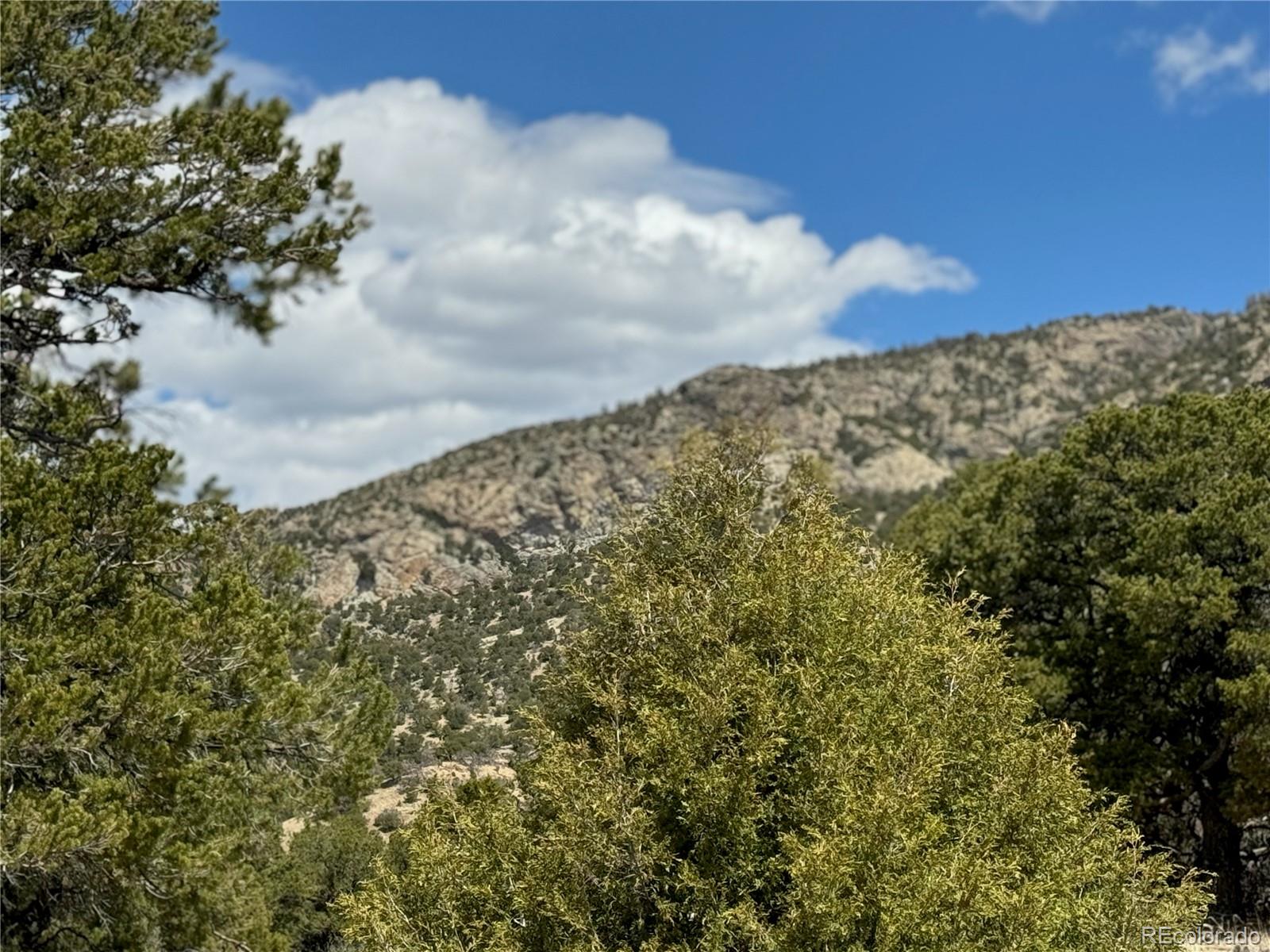 00103 Ute Drive Mosca CO 81146