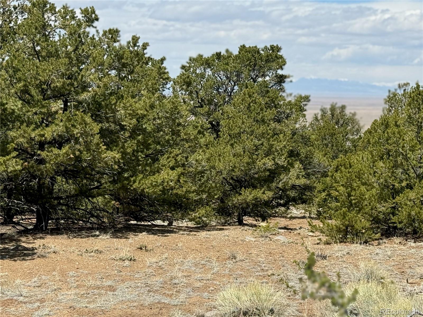 00103 Ute Drive Mosca CO 81146