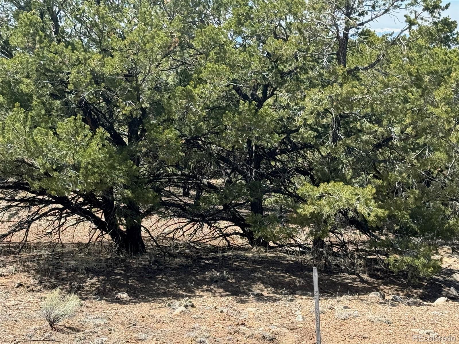 00103 Ute Drive Mosca CO 81146