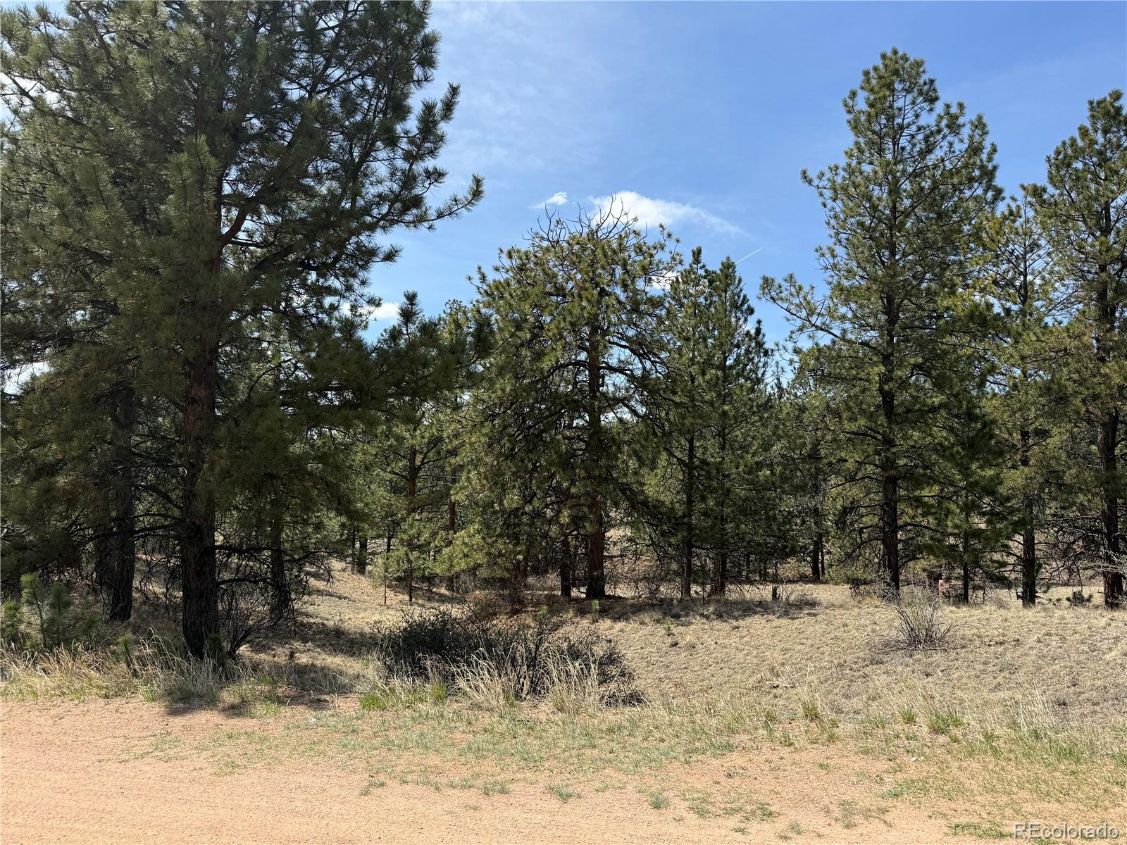 99 Cheyenne Way Florissant CO 80816