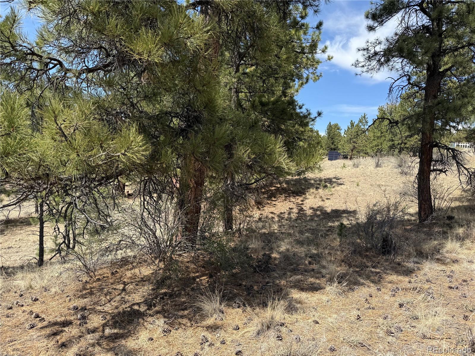 99 Cheyenne Way Florissant CO 80816