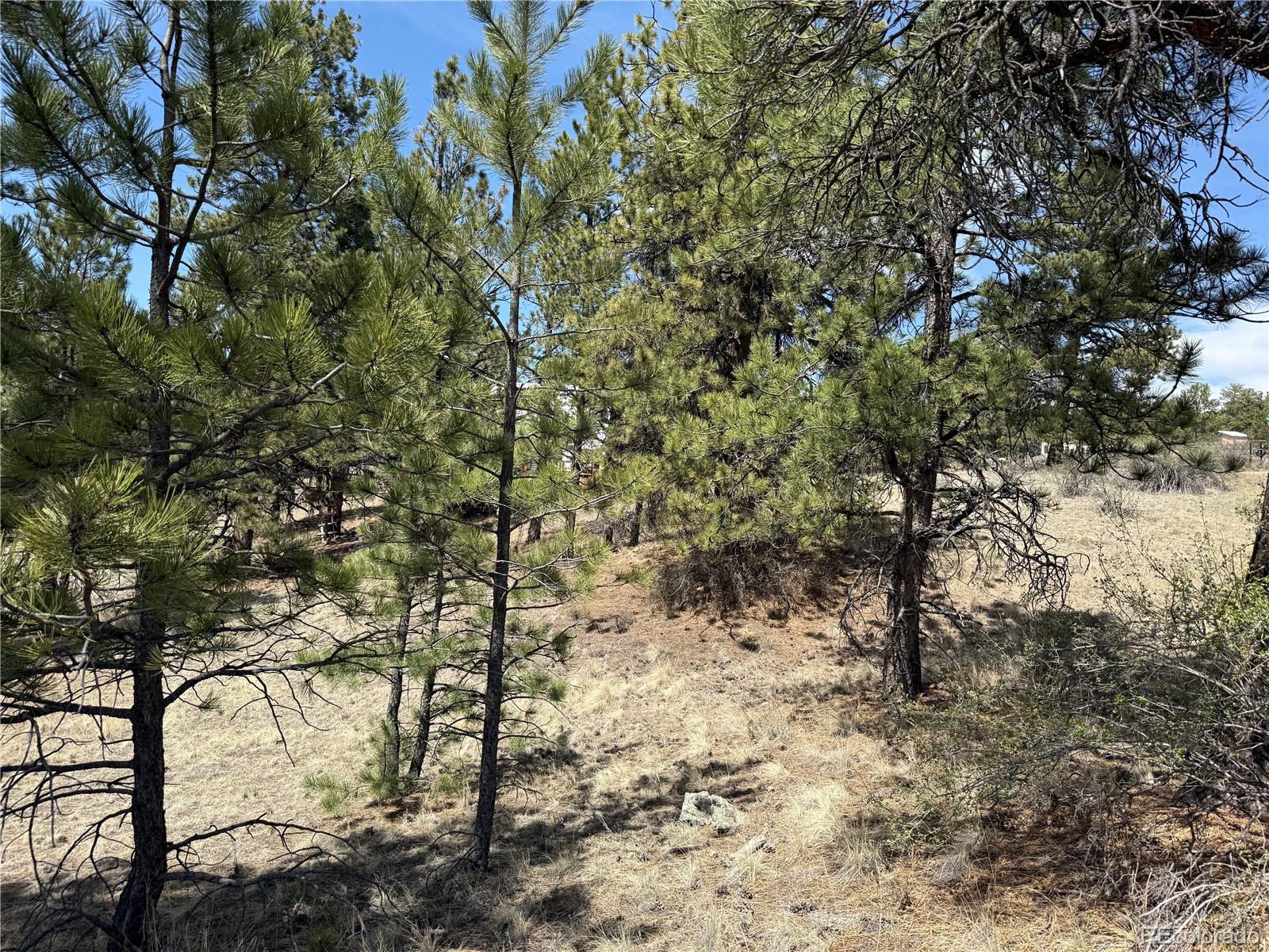 99 Cheyenne Way Florissant CO 80816
