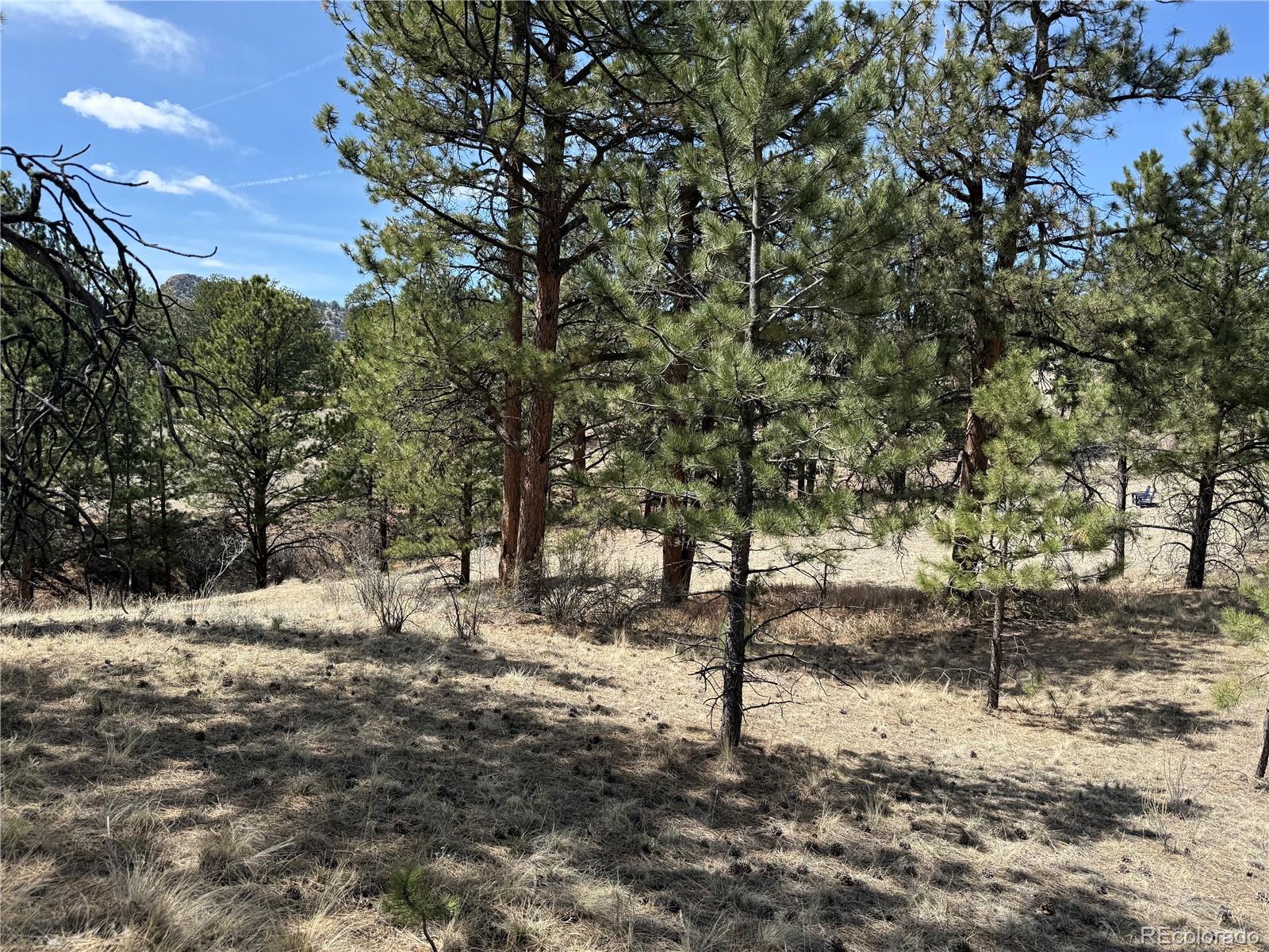 99 Cheyenne Way Florissant CO 80816
