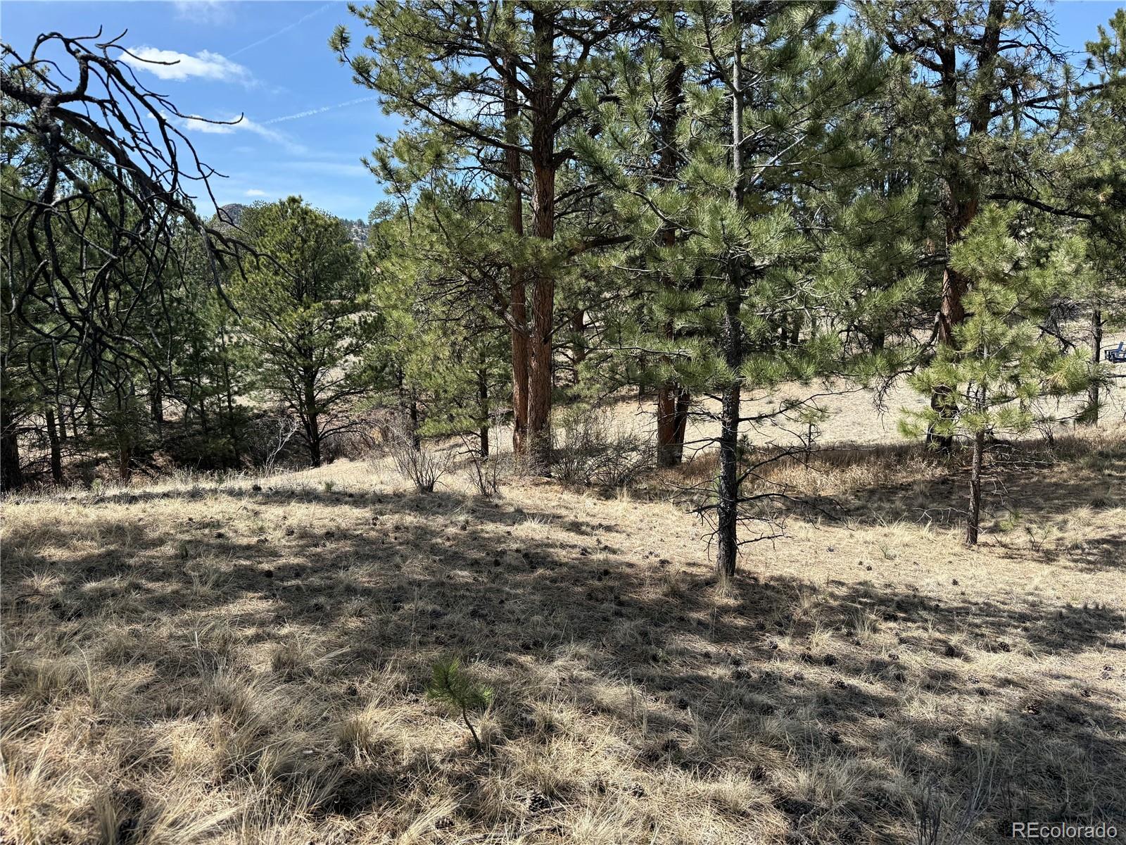 99 Cheyenne Way Florissant CO 80816