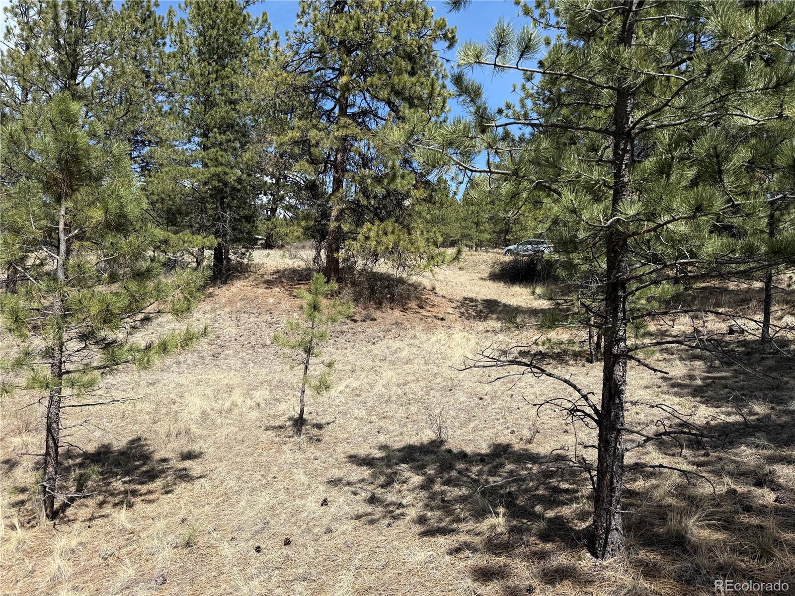 99 Cheyenne Way Florissant CO 80816