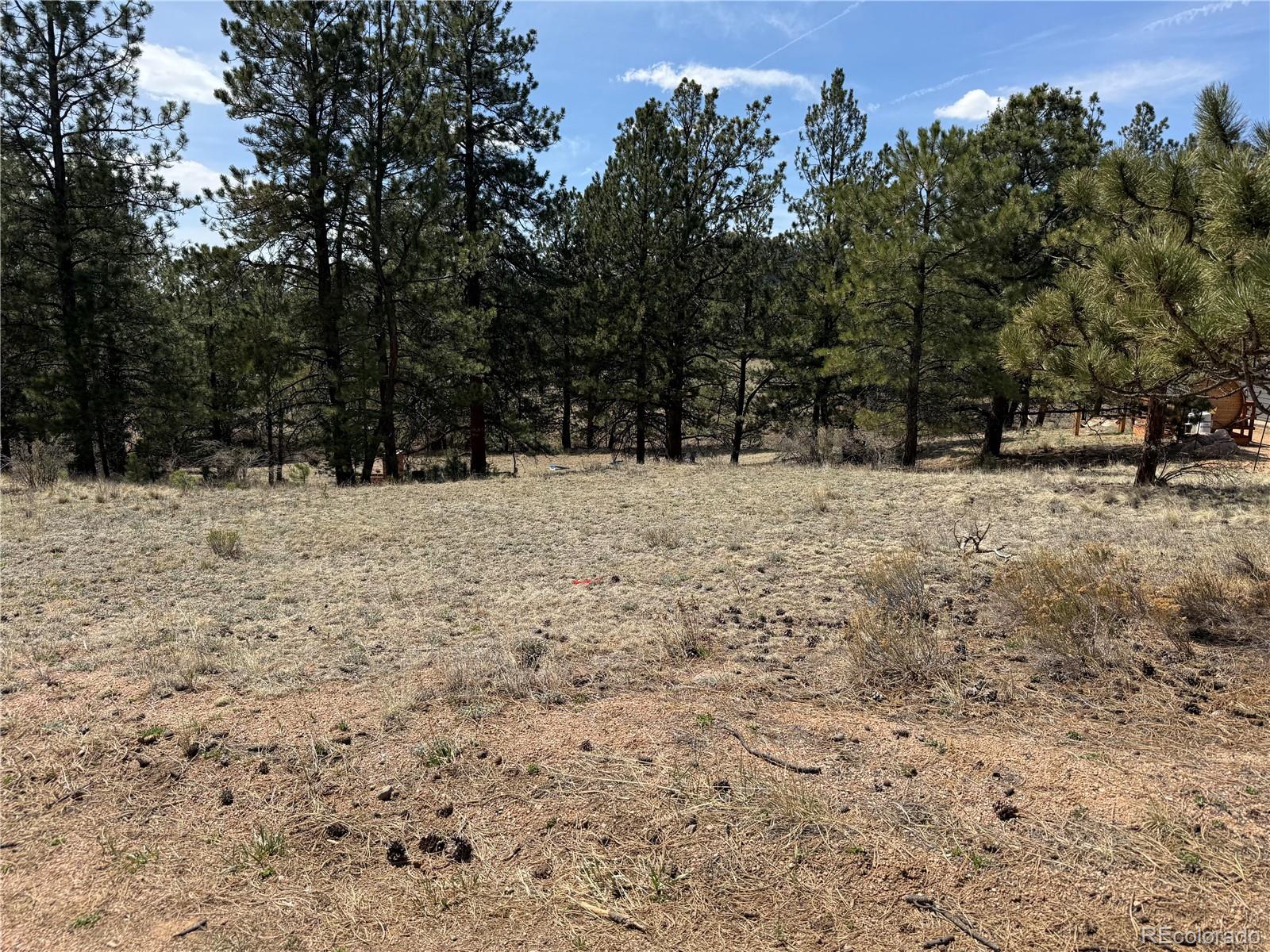 99 Cheyenne Way Florissant CO 80816