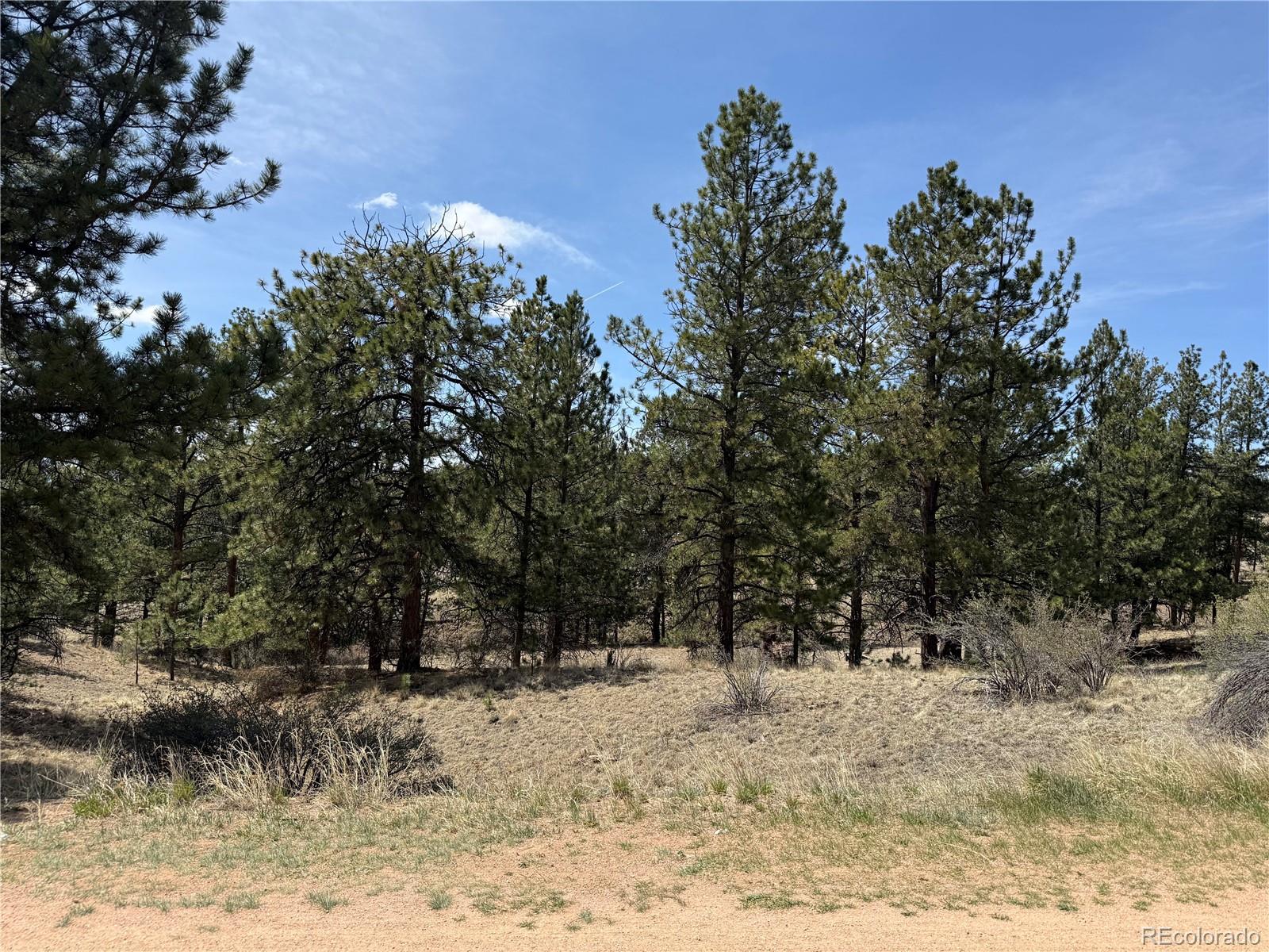 99 Cheyenne Way Florissant CO 80816