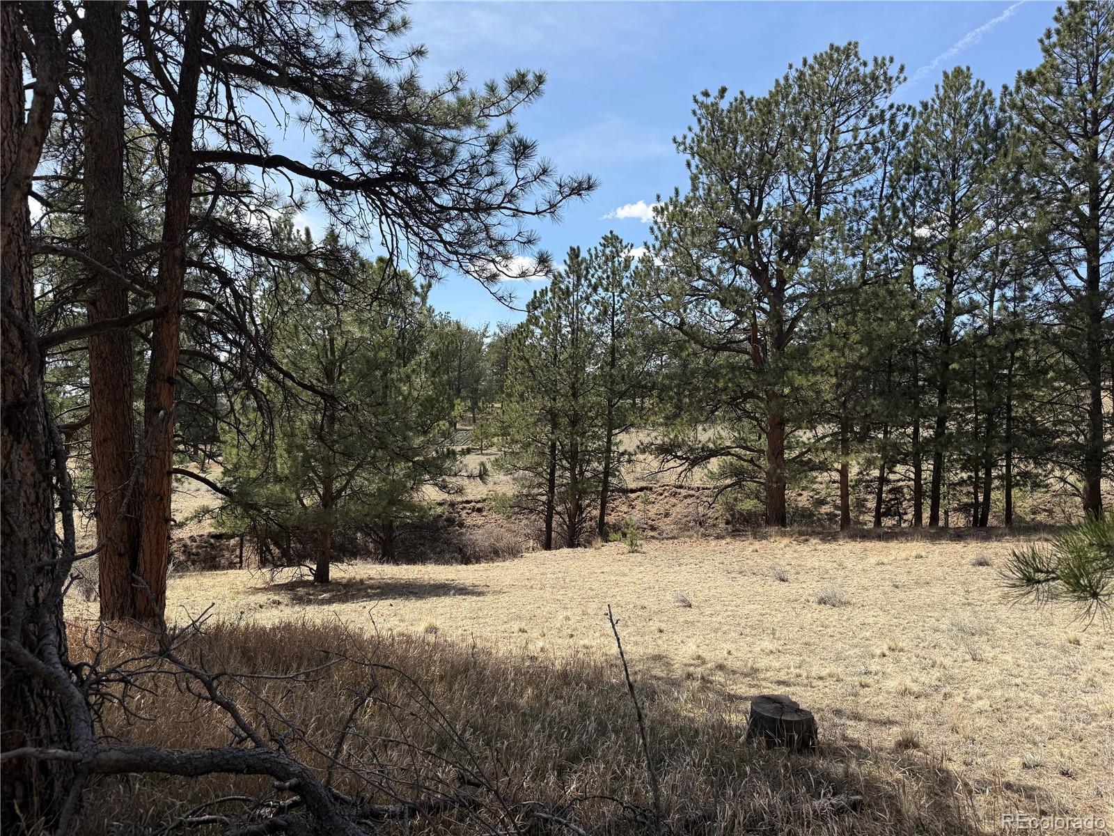 99 Cheyenne Way Florissant CO 80816
