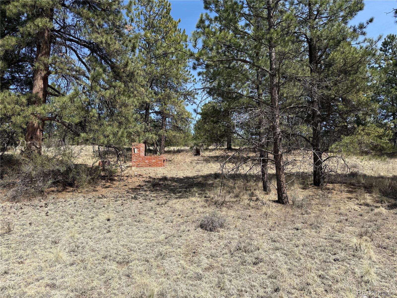 99 Cheyenne Way Florissant CO 80816