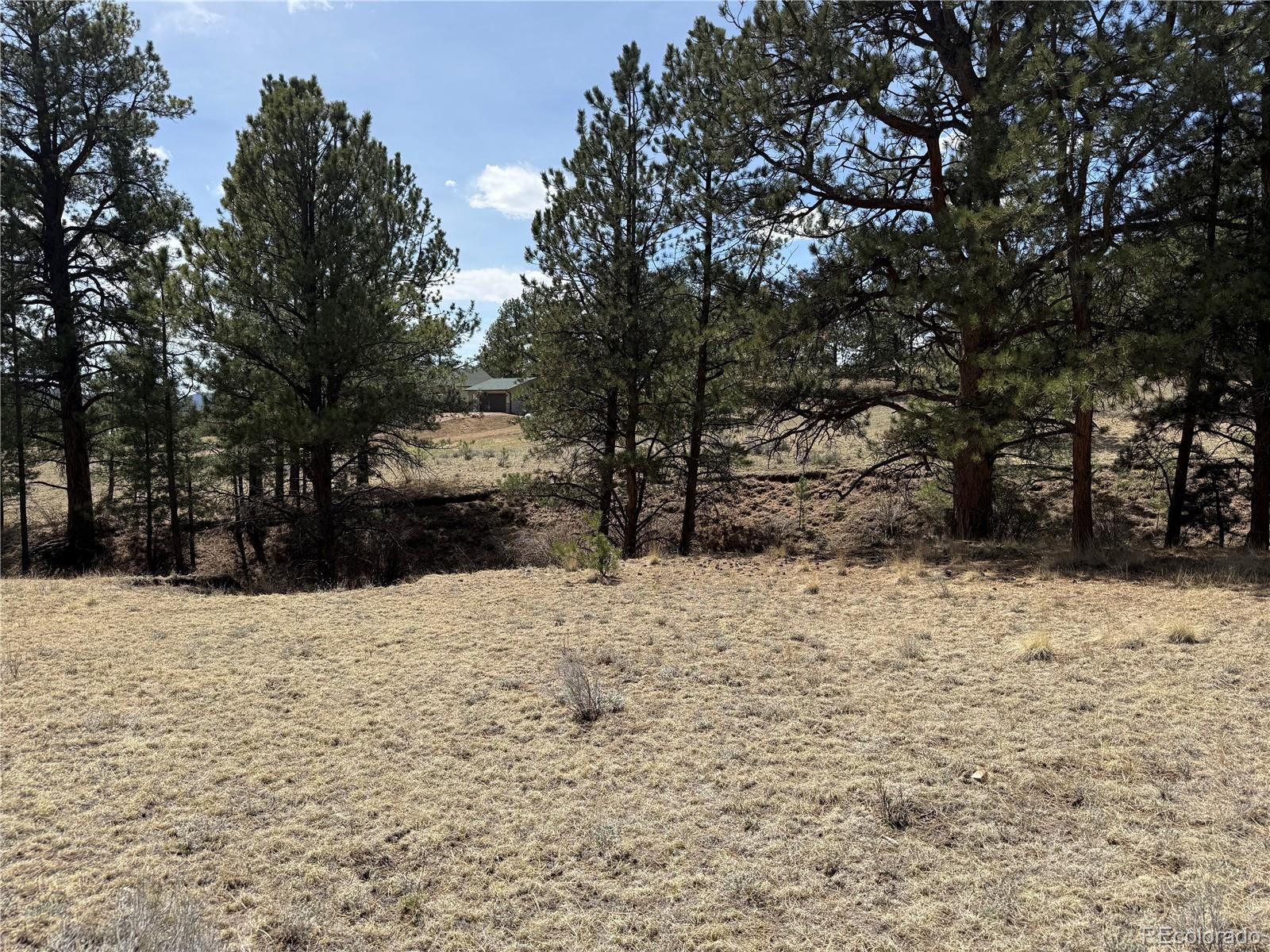 99 Cheyenne Way Florissant CO 80816