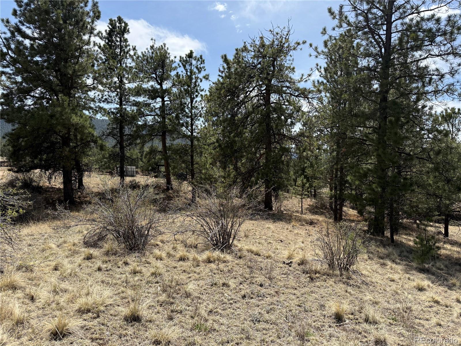 99 Cheyenne Way Florissant CO 80816