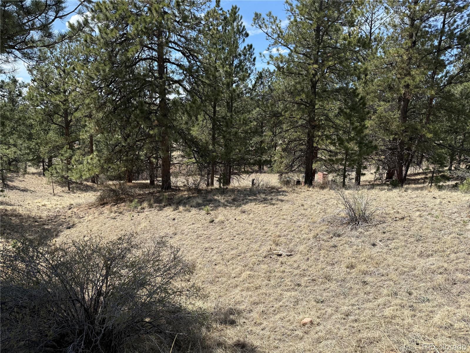99 Cheyenne Way Florissant CO 80816