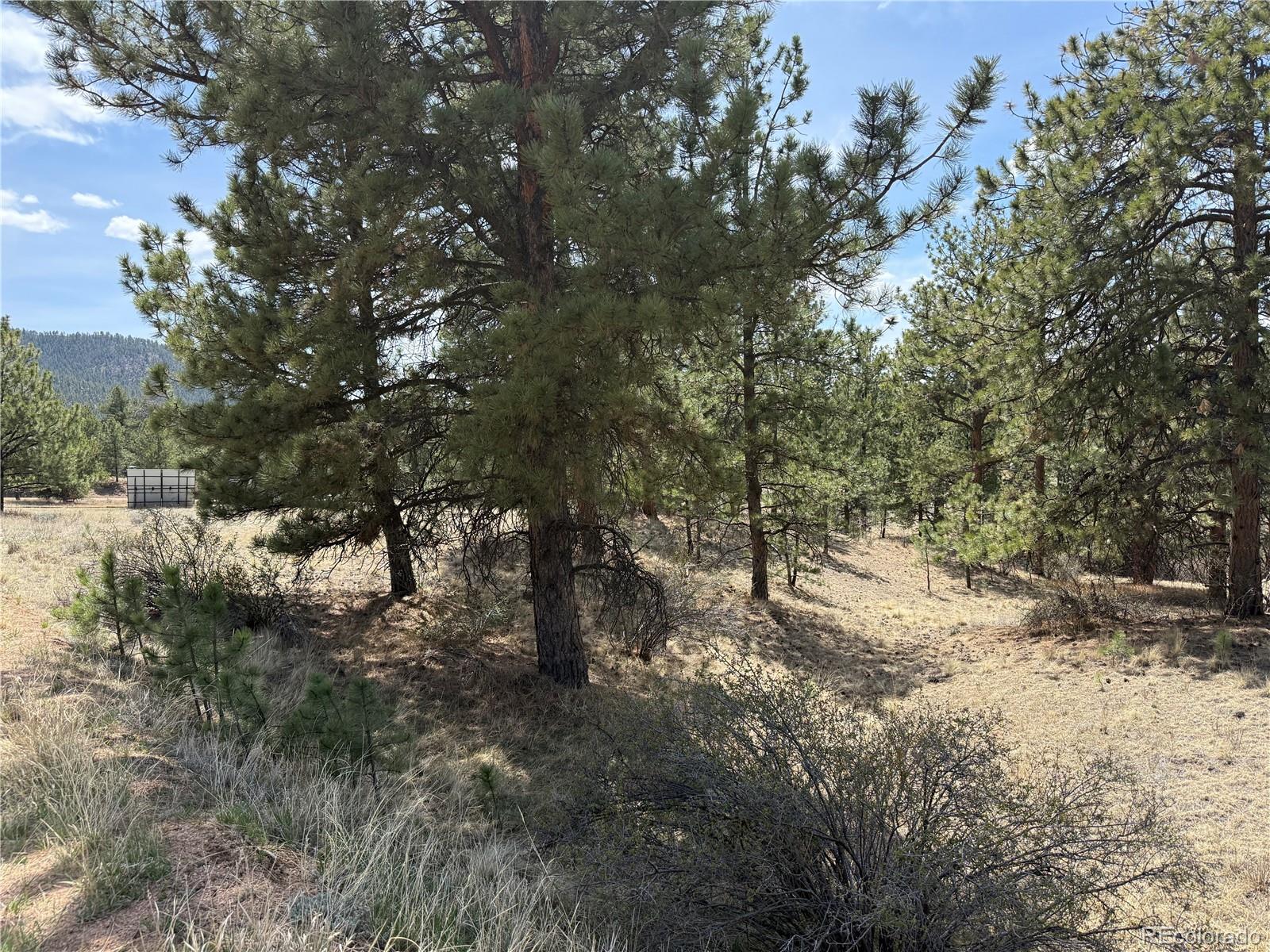 99 Cheyenne Way Florissant CO 80816