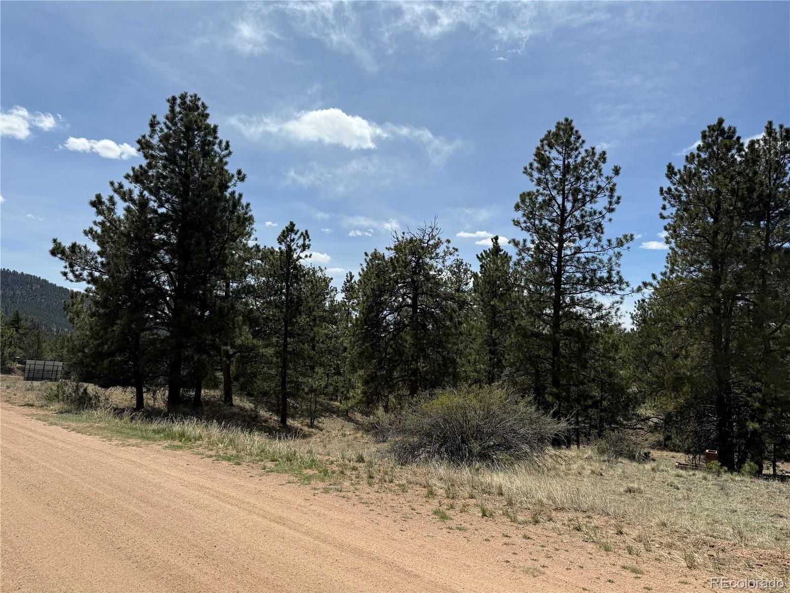 99 Cheyenne Way Florissant CO 80816