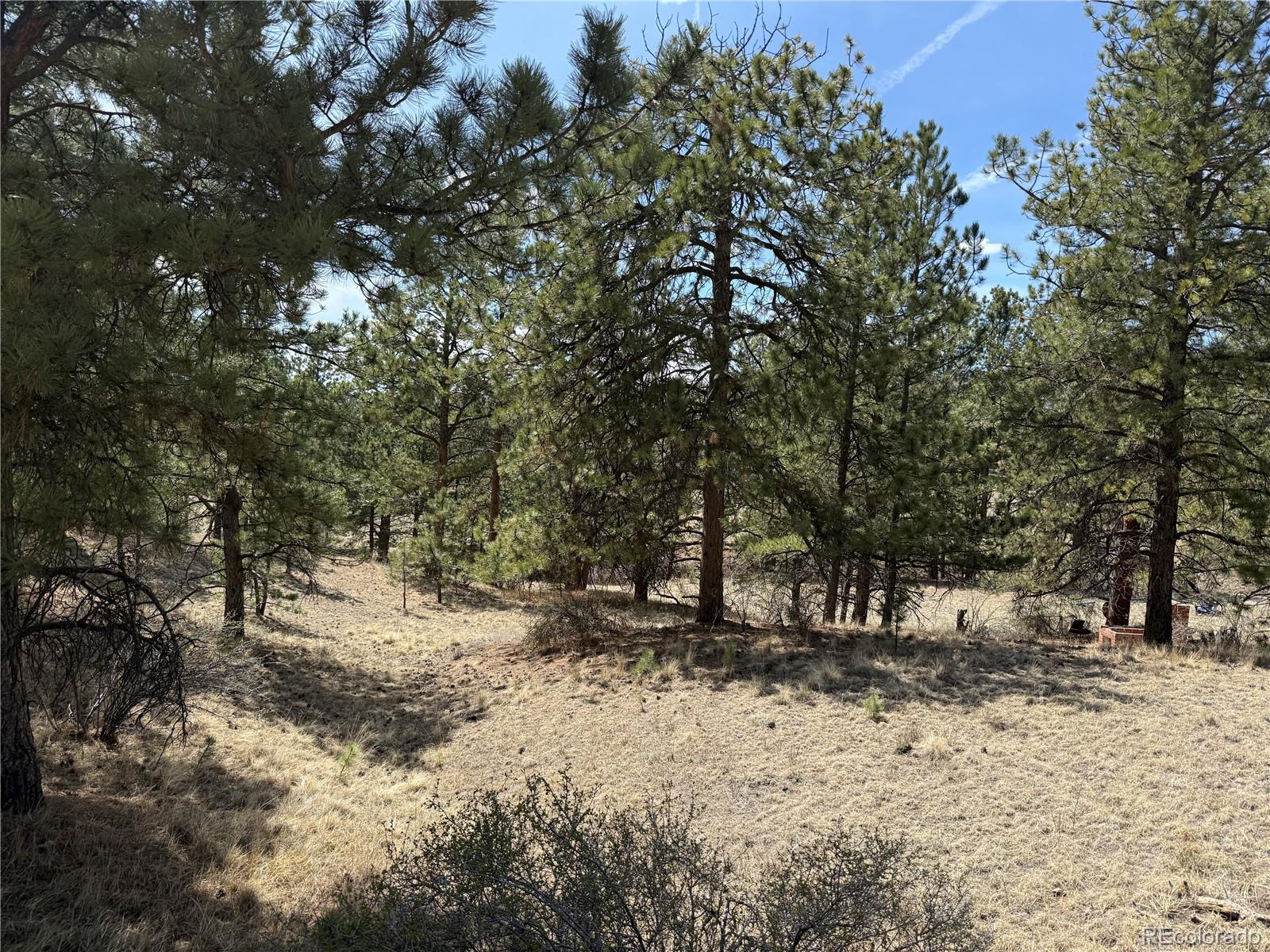 99 Cheyenne Way Florissant CO 80816