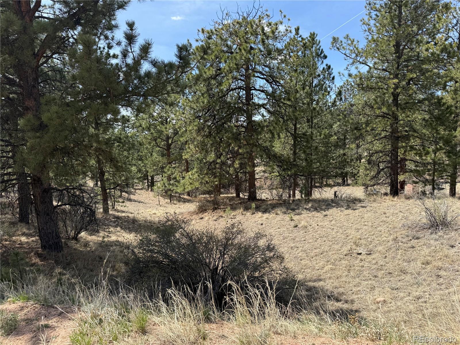 99 Cheyenne Way Florissant CO 80816