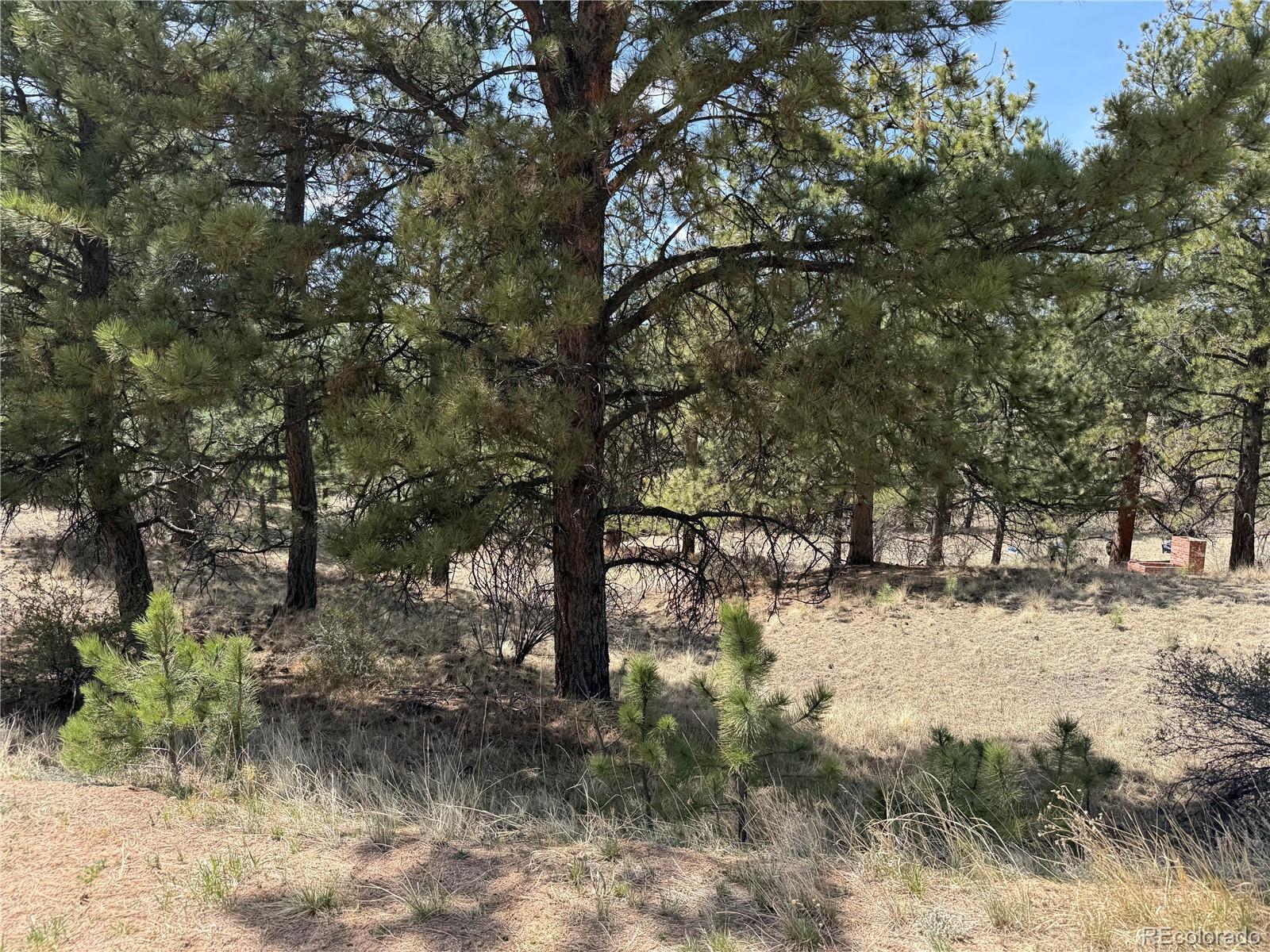 99 Cheyenne Way Florissant CO 80816