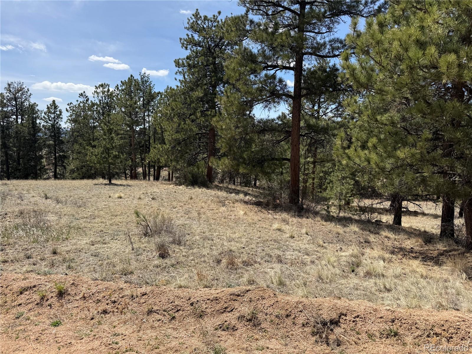 99 Cheyenne Way Florissant CO 80816
