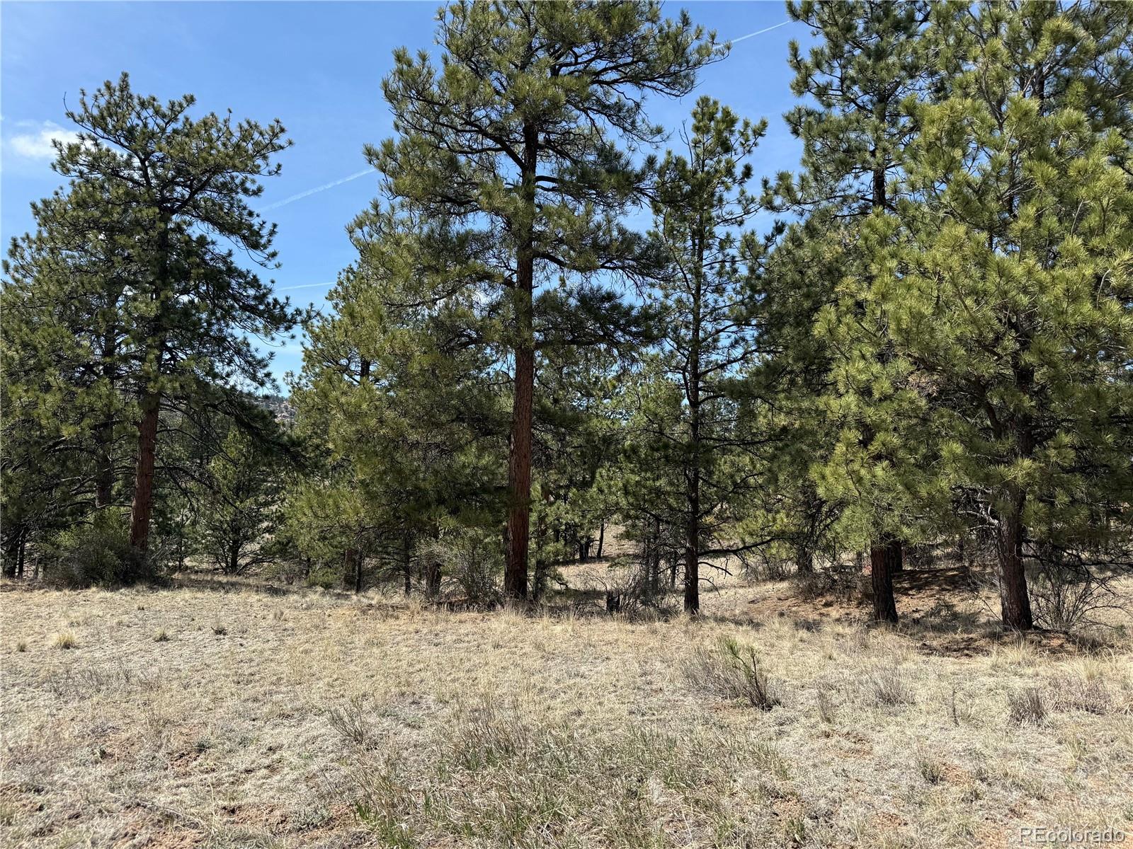 99 Cheyenne Way Florissant CO 80816