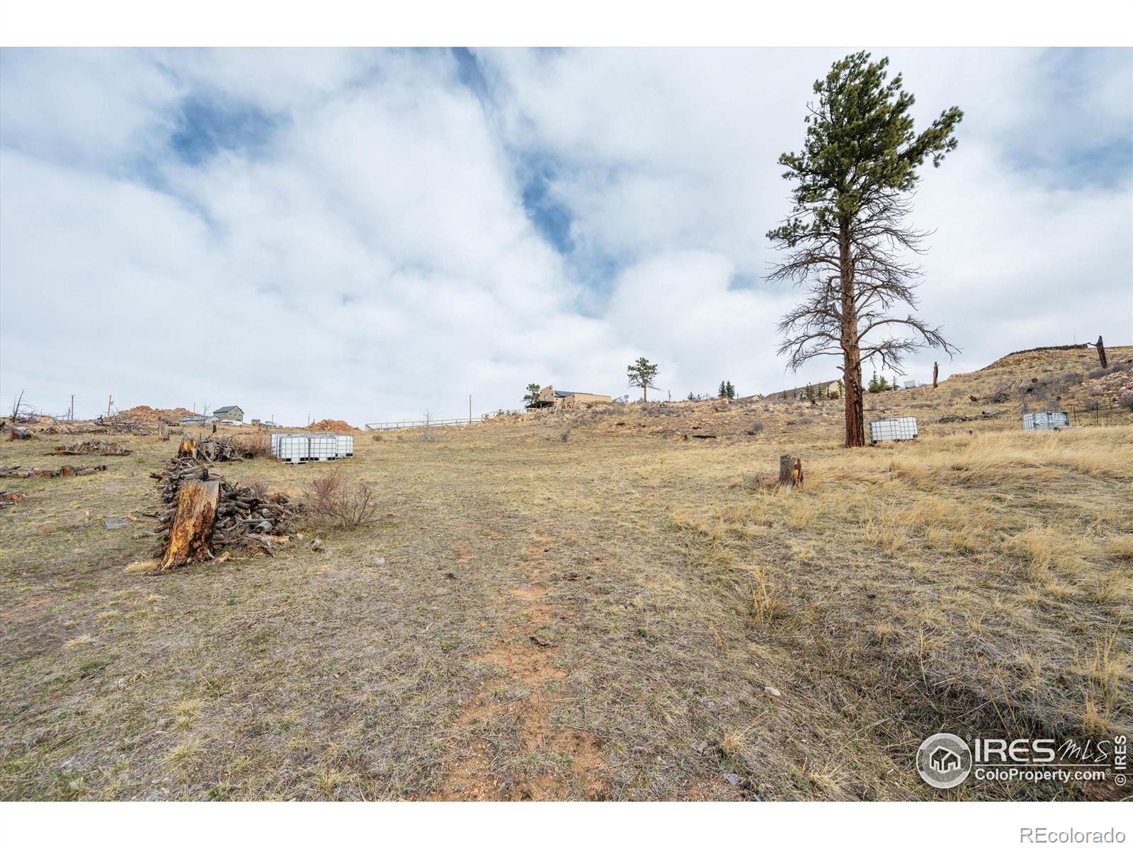 107 Mount Audubon Way Livermore CO 80536