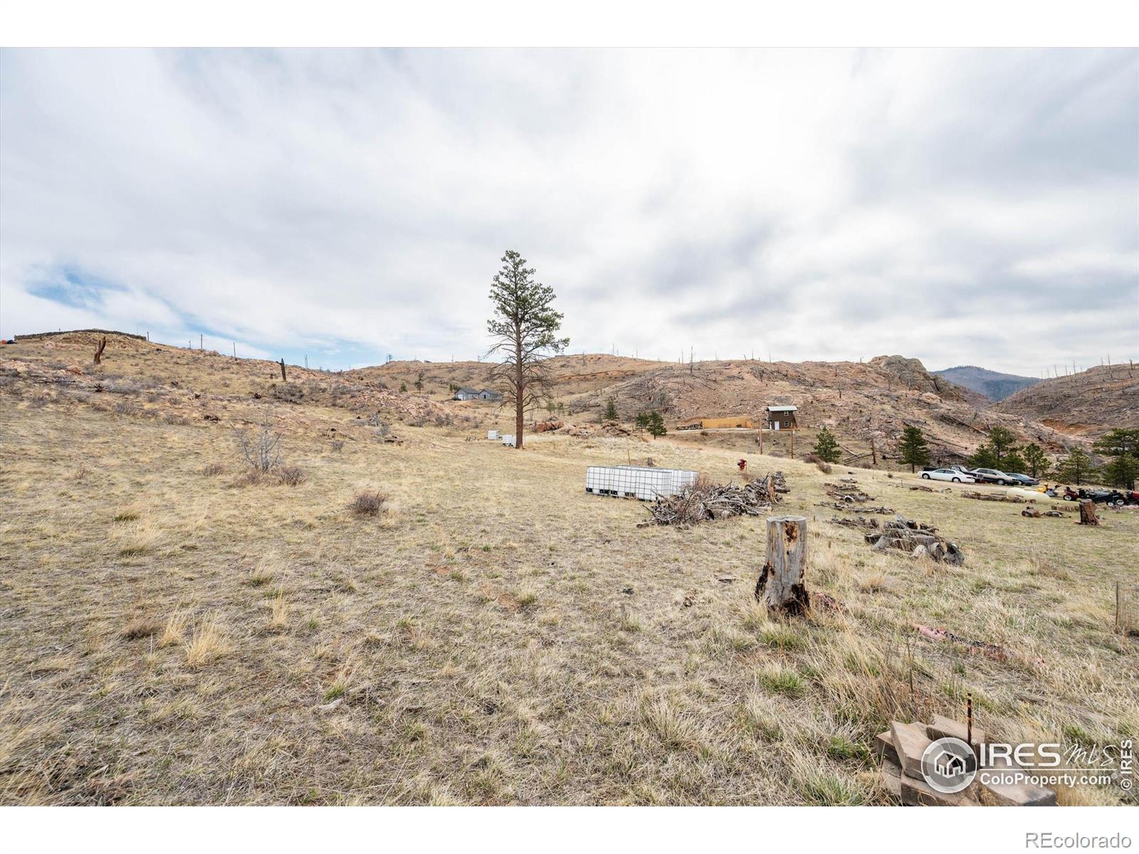 107 Mount Audubon Way Livermore CO 80536