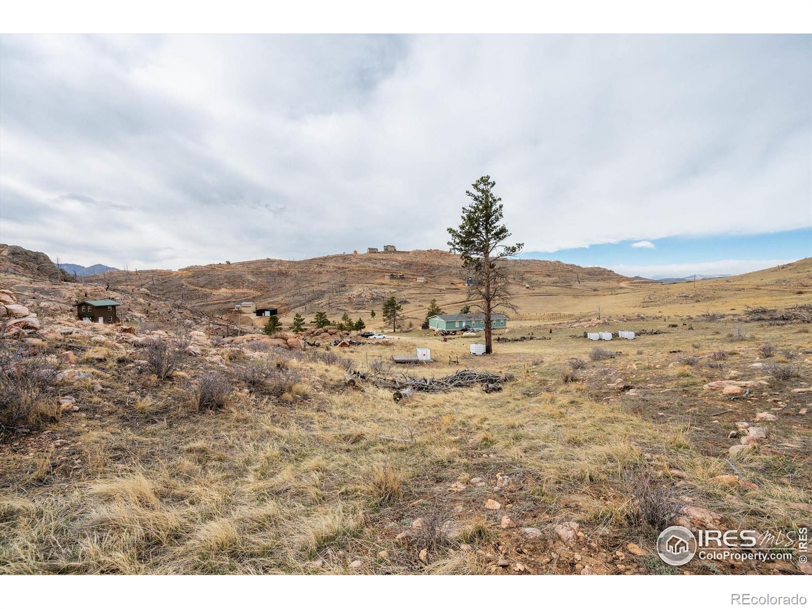 107 Mount Audubon Way Livermore CO 80536