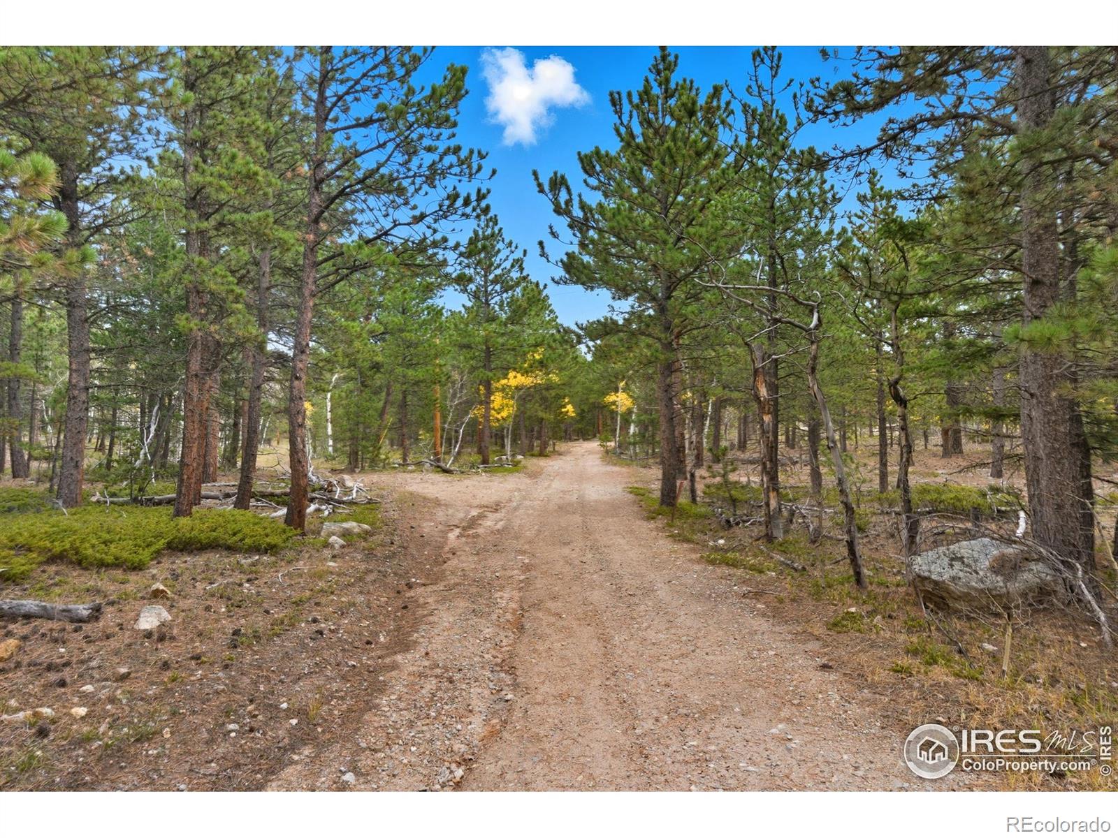 0 County Road 84 W Allenspark CO 80510