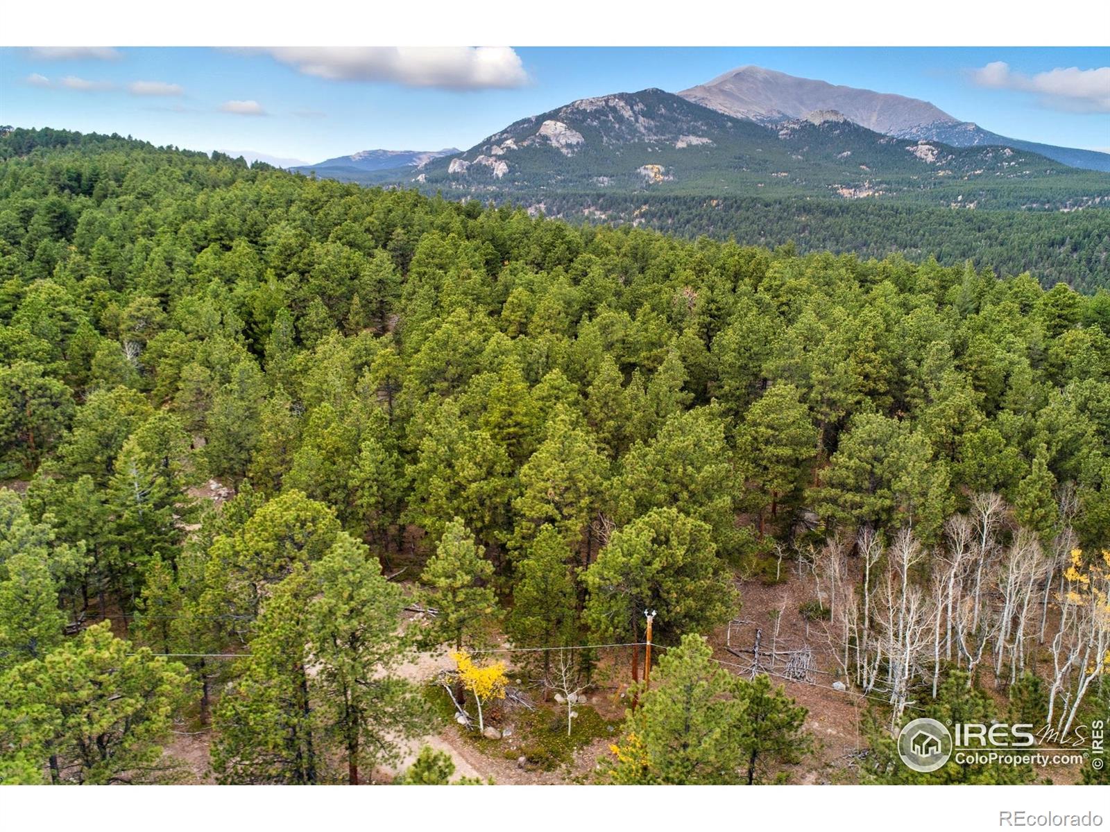 0 County Road 84 W Allenspark CO 80510