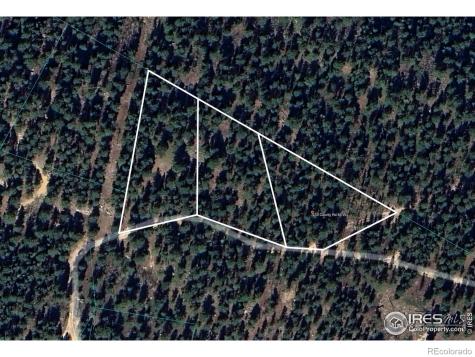 0 County Road 84 W Allenspark CO 80510