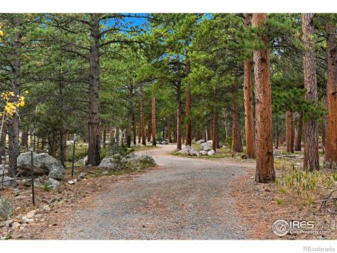0 County Road 84 W Allenspark CO 80510