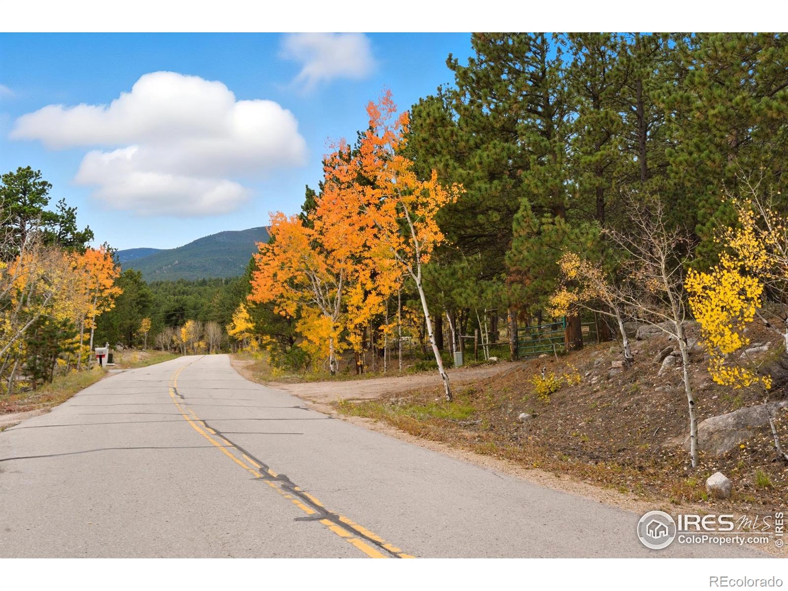 0 County Road 84 W Allenspark CO 80510