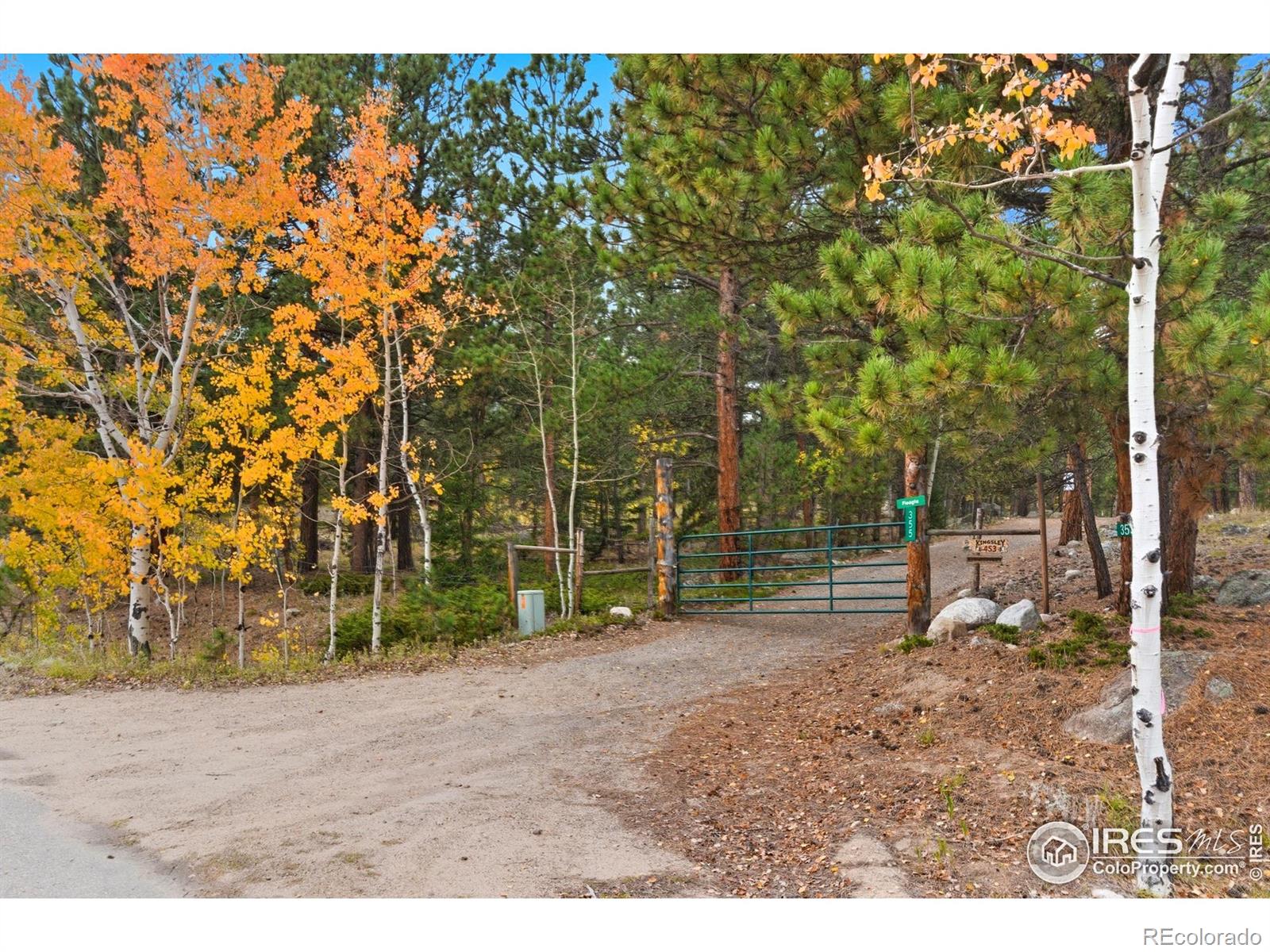 0 County Road 84 W Allenspark CO 80510