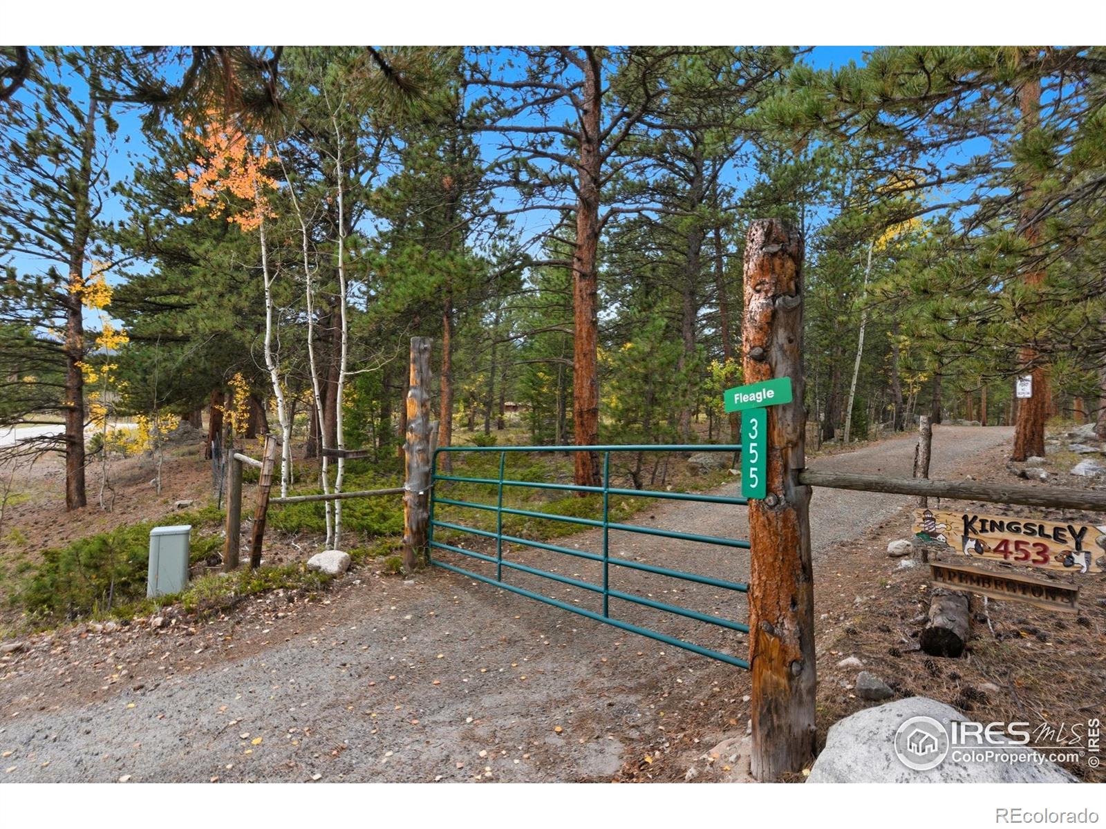 0 County Road 84 W Allenspark CO 80510