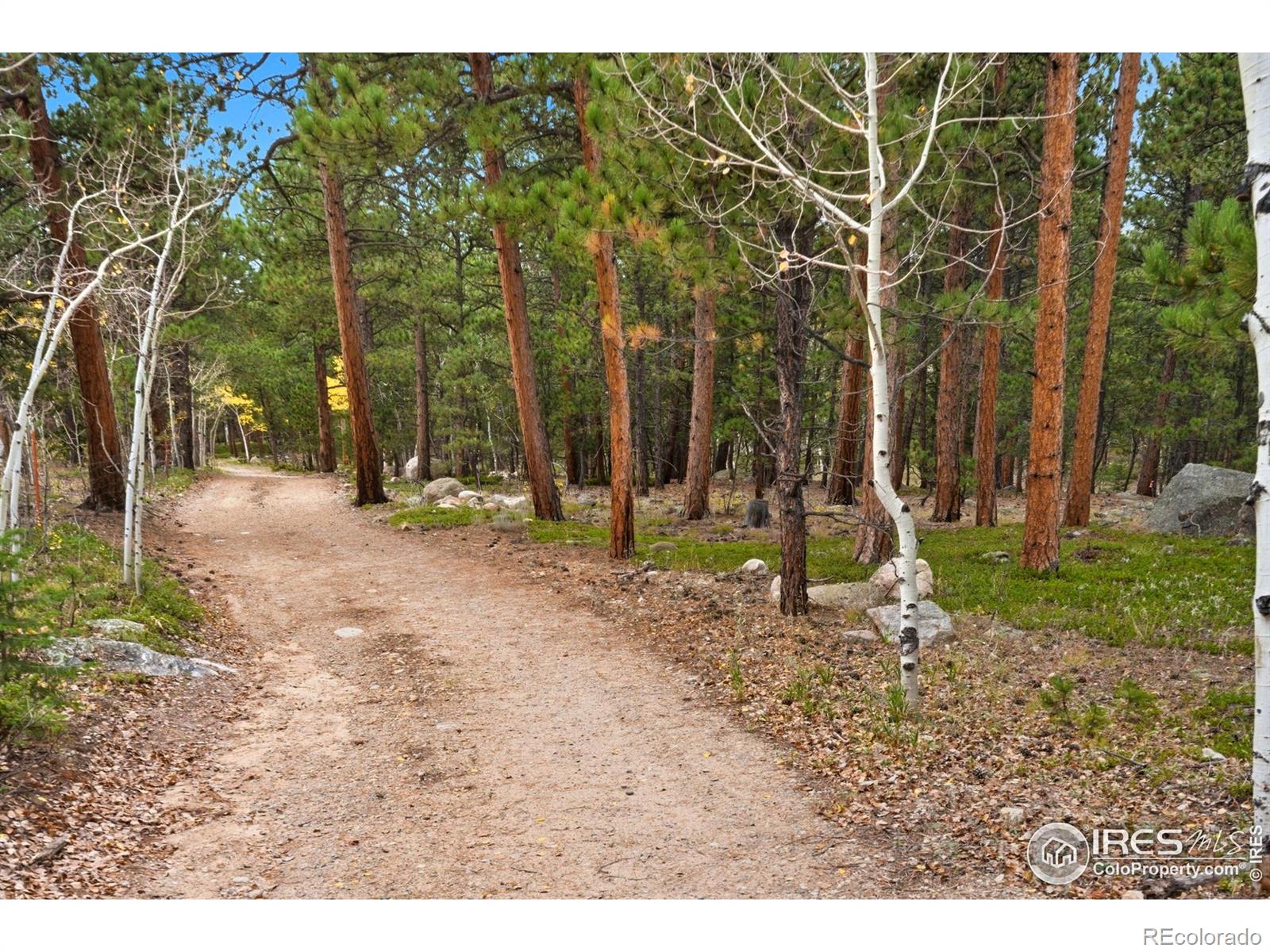0 County Road 84 W Allenspark CO 80510