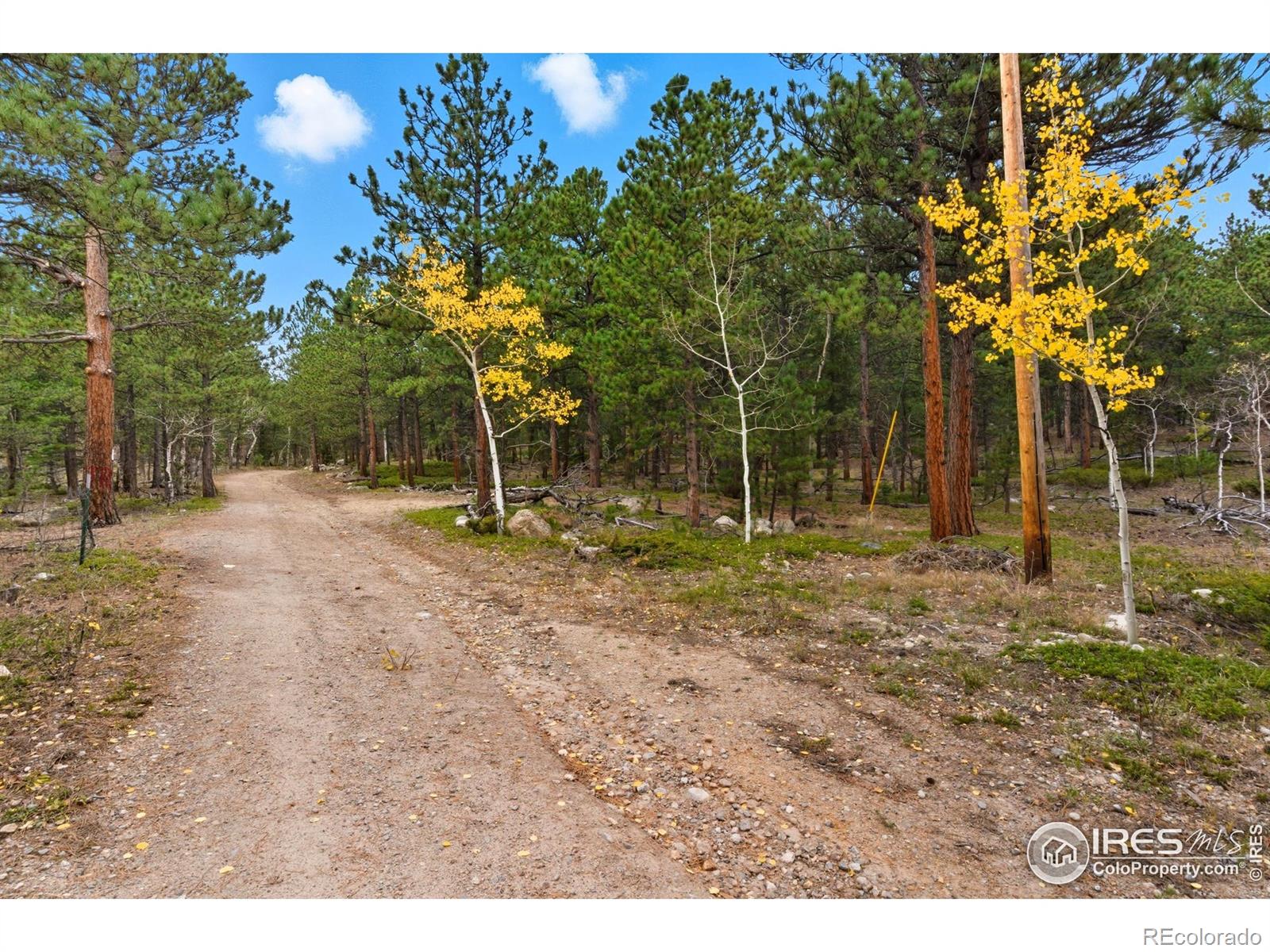 0 County Road 84 W Allenspark CO 80510