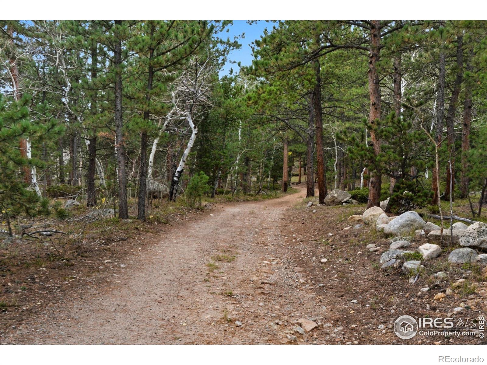 0 County Road 84 W Allenspark CO 80510