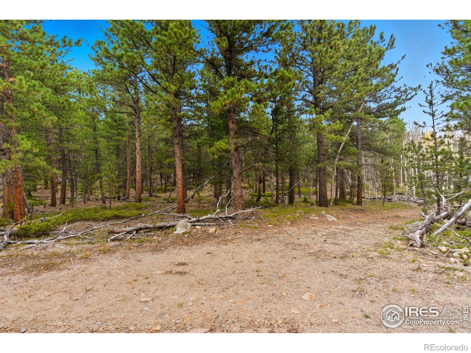 0 County Road 84 W Allenspark CO 80510