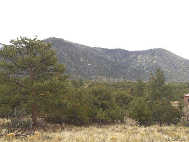 918 Pine Cone Way Crestone CO 81131