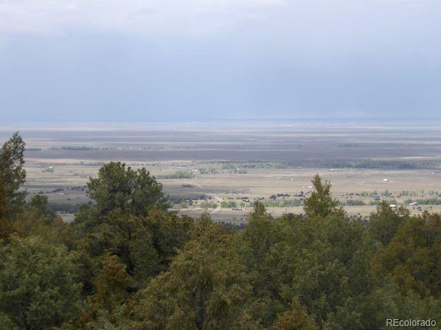 918 Pine Cone Way Crestone CO 81131