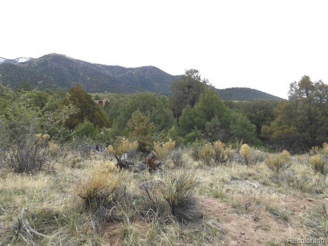 918 Pine Cone Way Crestone CO 81131