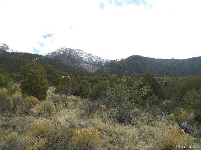 918 Pine Cone Way Crestone CO 81131