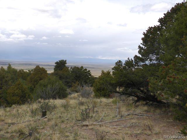 918 Pine Cone Way Crestone CO 81131