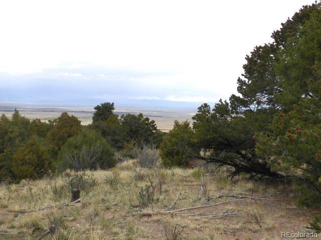 918 Pine Cone Way Crestone CO 81131