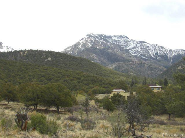 918 Pine Cone Way Crestone CO 81131