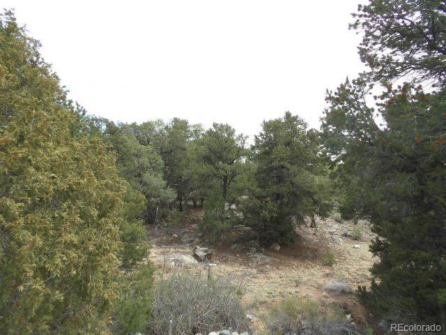 918 Pine Cone Way Crestone CO 81131