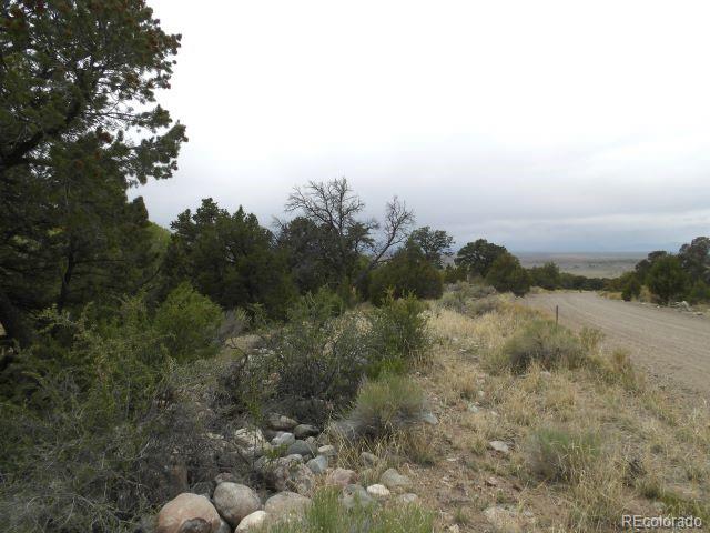 918 Pine Cone Way Crestone CO 81131