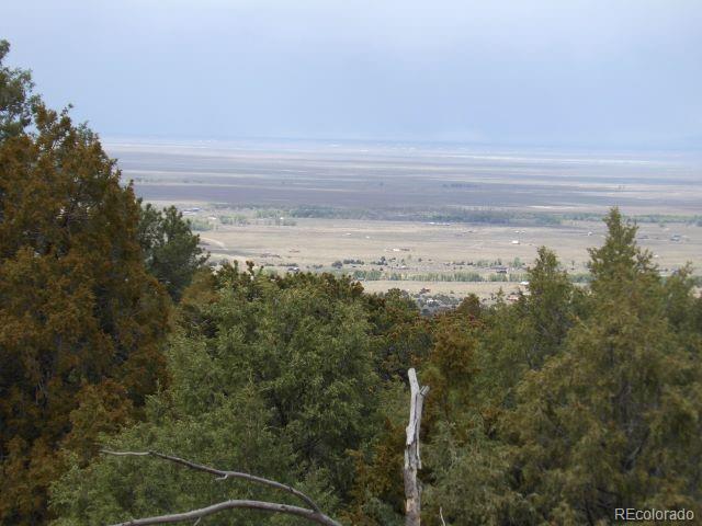 918 Pine Cone Way Crestone CO 81131