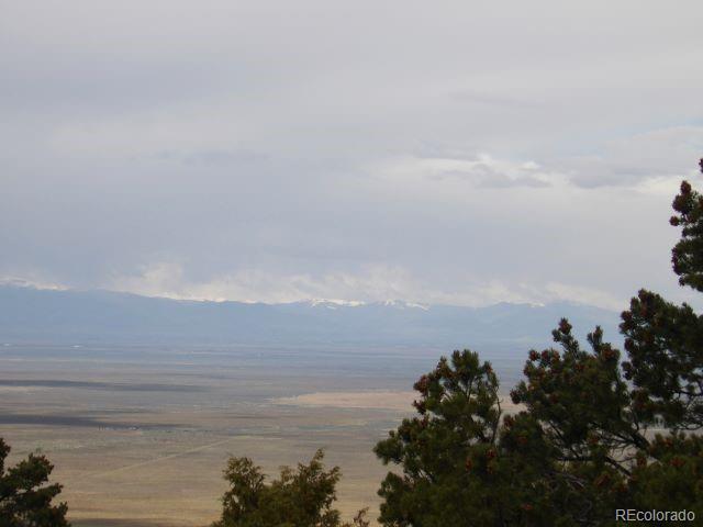918 Pine Cone Way Crestone CO 81131
