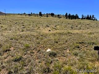 Lot 5556 Shavano Trail Hartsel CO 80449