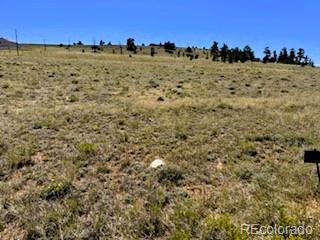 Lot 5556 Shavano Trail Hartsel CO 80449